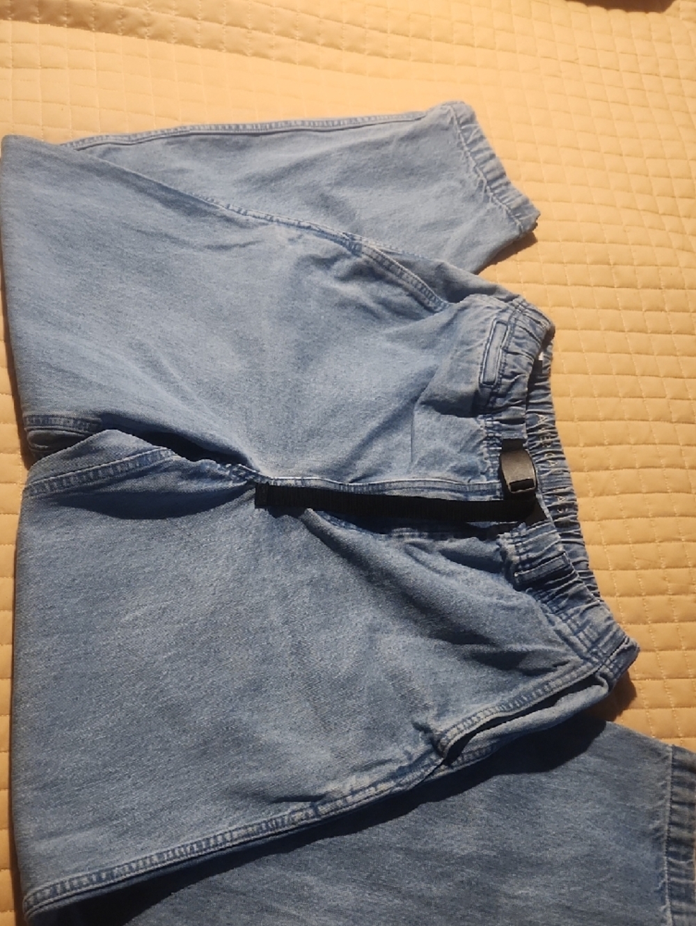 American Eagle Jogger Denim Pants